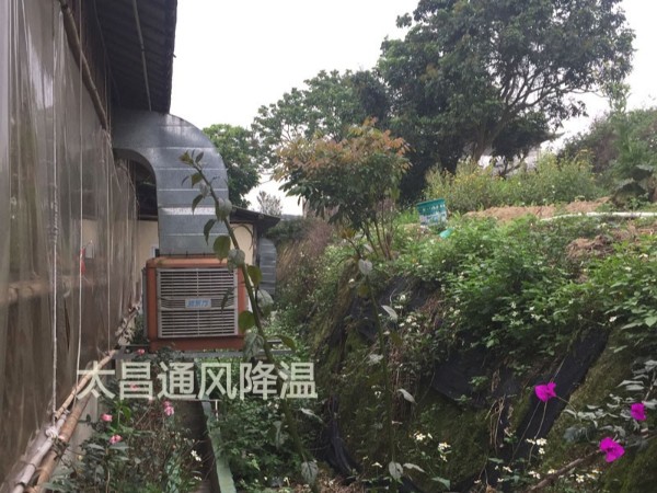 餐廳太熱？環(huán)?？照{(diào)為你送清風